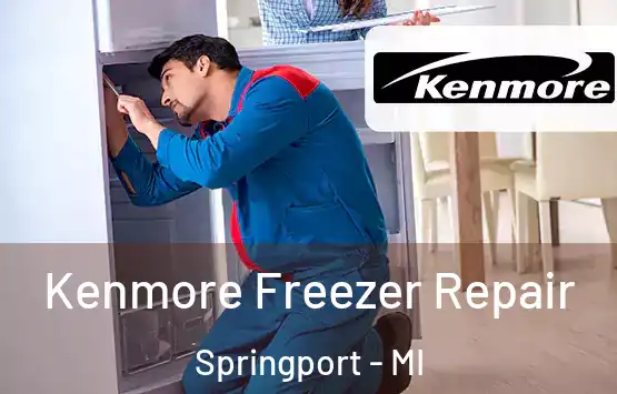  Kenmore Freezer Repair Springport - MI