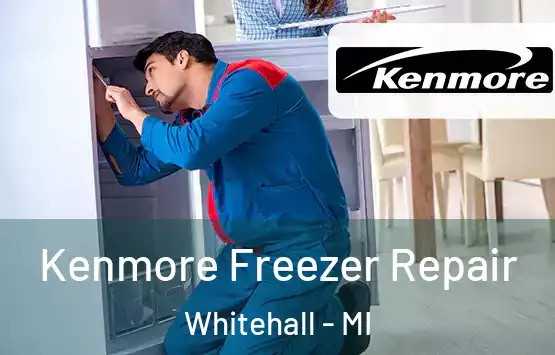  Kenmore Freezer Repair Whitehall - MI