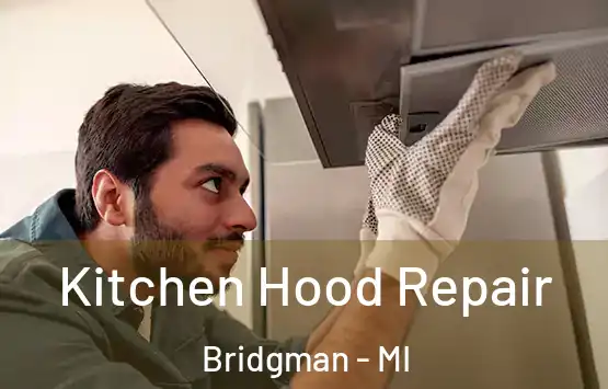  Kitchen Hood Repair Bridgman - MI