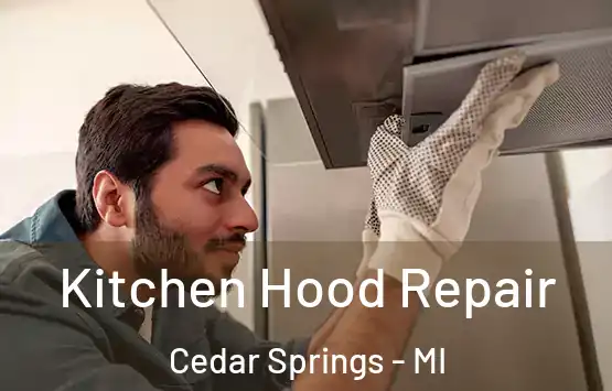  Kitchen Hood Repair Cedar Springs - MI