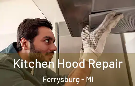  Kitchen Hood Repair Ferrysburg - MI