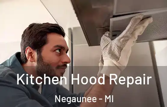  Kitchen Hood Repair Negaunee - MI