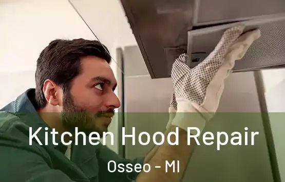  Kitchen Hood Repair Osseo - MI