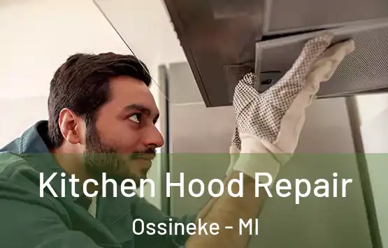  Kitchen Hood Repair Ossineke - MI