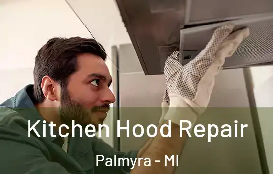  Kitchen Hood Repair Palmyra - MI