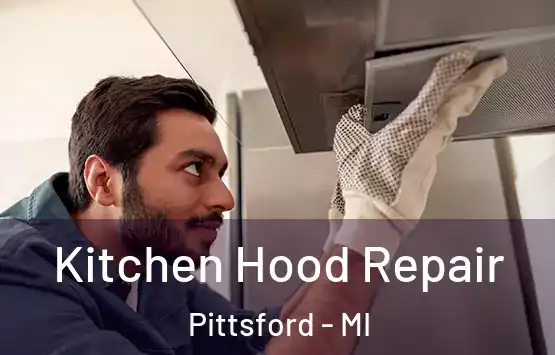  Kitchen Hood Repair Pittsford - MI