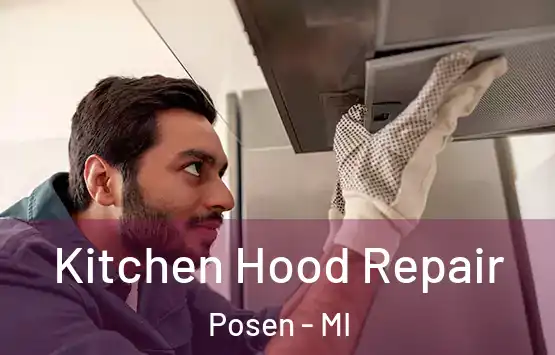  Kitchen Hood Repair Posen - MI