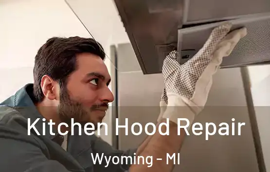  Kitchen Hood Repair Wyoming - MI