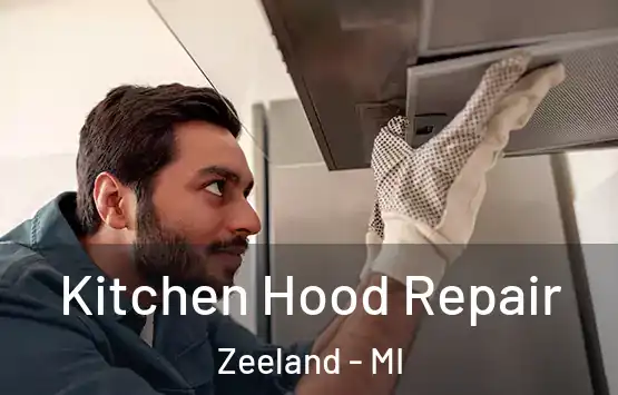  Kitchen Hood Repair Zeeland - MI