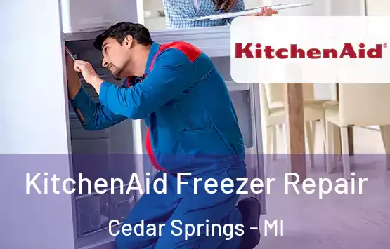  KitchenAid Freezer Repair Cedar Springs - MI