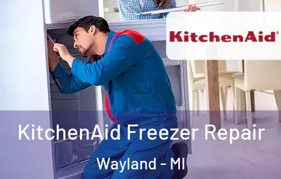  KitchenAid Freezer Repair Wayland - MI
