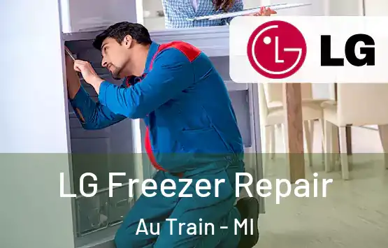  LG Freezer Repair Au Train - MI