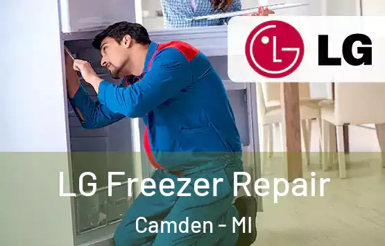  LG Freezer Repair Camden - MI