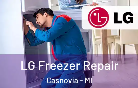  LG Freezer Repair Casnovia - MI