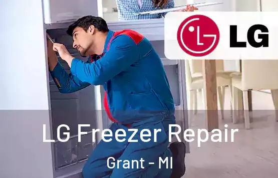  LG Freezer Repair Grant - MI
