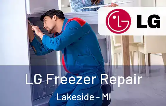  LG Freezer Repair Lakeside - MI