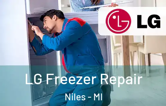  LG Freezer Repair Niles - MI