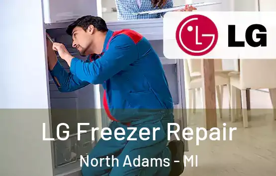  LG Freezer Repair North Adams - MI