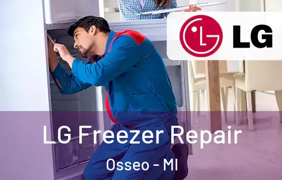  LG Freezer Repair Osseo - MI