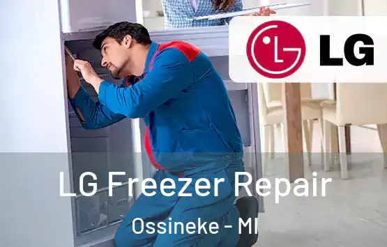  LG Freezer Repair Ossineke - MI