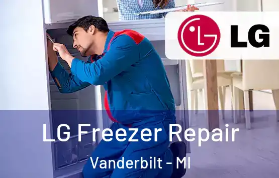  LG Freezer Repair Vanderbilt - MI
