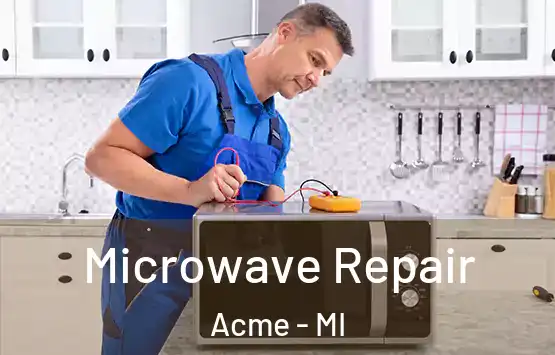  Microwave Repair Acme - MI