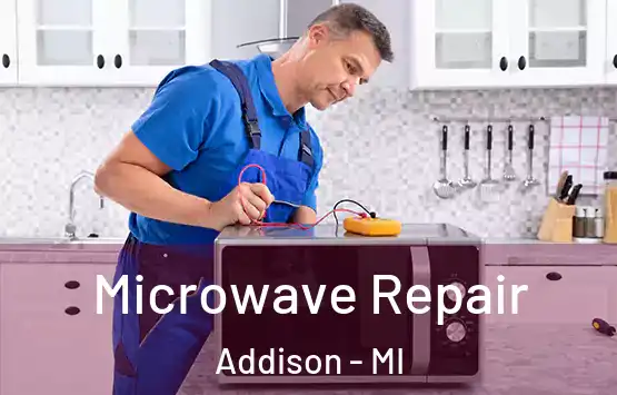  Microwave Repair Addison - MI