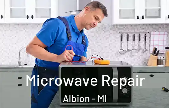  Microwave Repair Albion - MI