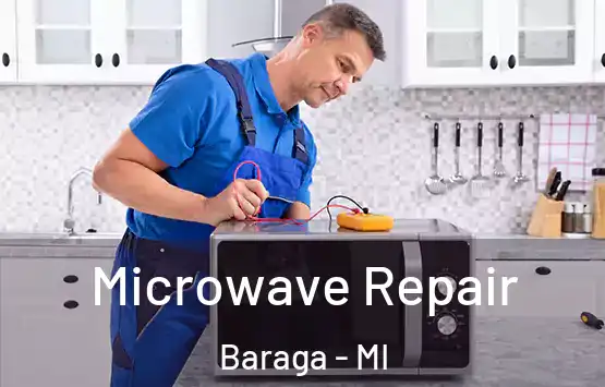  Microwave Repair Baraga - MI