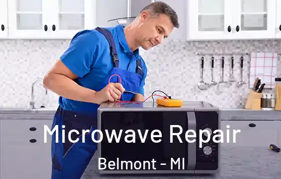  Microwave Repair Belmont - MI