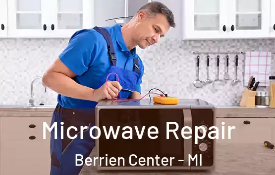  Microwave Repair Berrien Center - MI