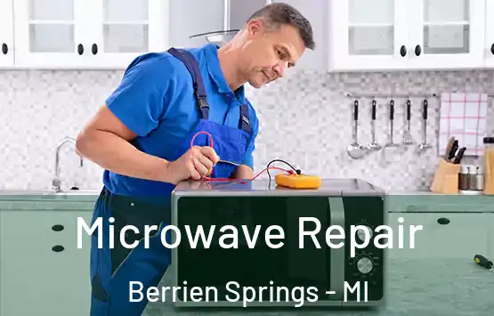  Microwave Repair Berrien Springs - MI
