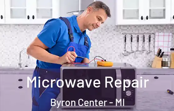  Microwave Repair Byron Center - MI
