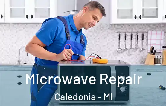 Microwave Repair Caledonia - MI
