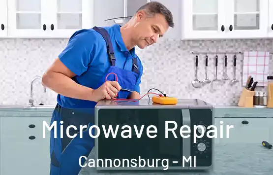  Microwave Repair Cannonsburg - MI