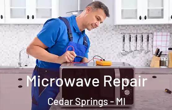  Microwave Repair Cedar Springs - MI