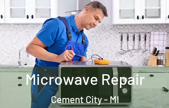  Microwave Repair Cement City - MI