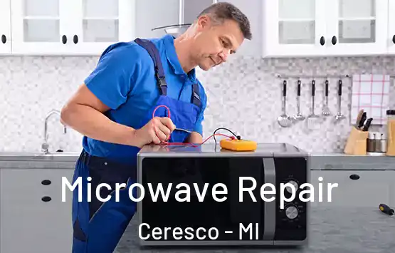  Microwave Repair Ceresco - MI