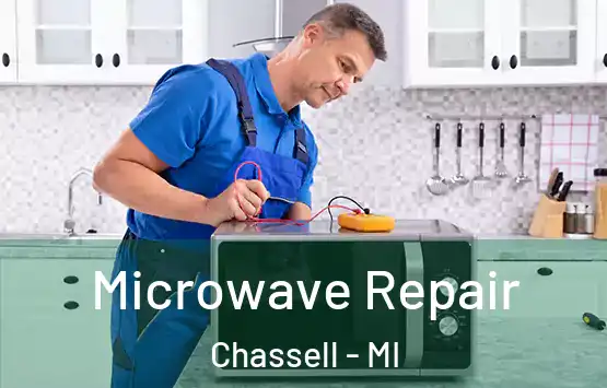  Microwave Repair Chassell - MI