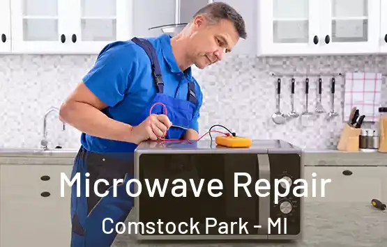  Microwave Repair Comstock Park - MI