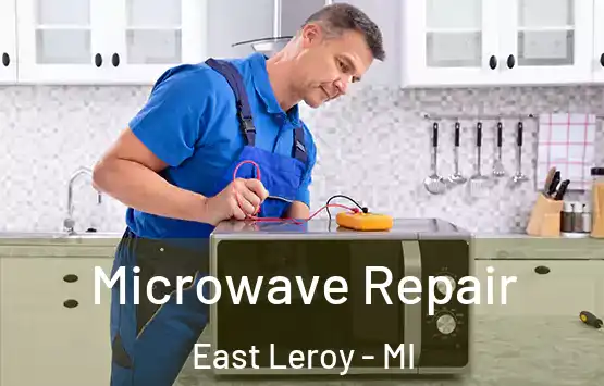  Microwave Repair East Leroy - MI