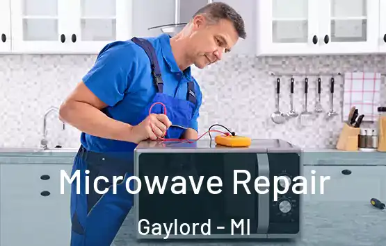  Microwave Repair Gaylord - MI