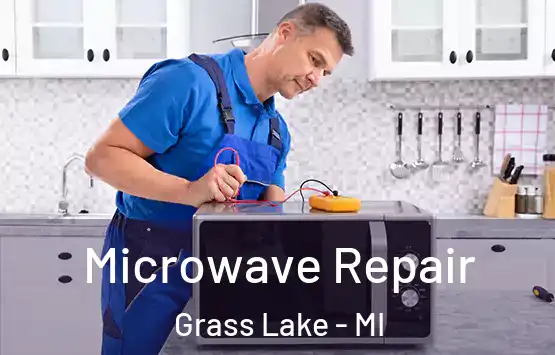  Microwave Repair Grass Lake - MI
