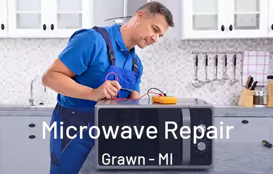  Microwave Repair Grawn - MI