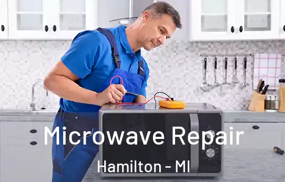  Microwave Repair Hamilton - MI