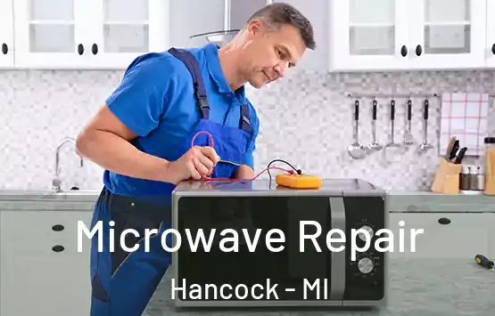  Microwave Repair Hancock - MI
