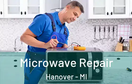  Microwave Repair Hanover - MI