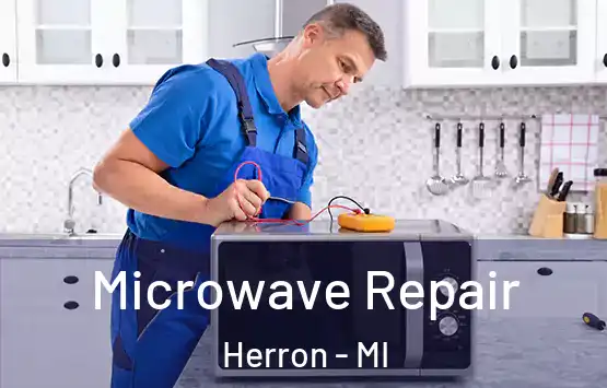  Microwave Repair Herron - MI