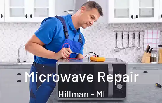  Microwave Repair Hillman - MI