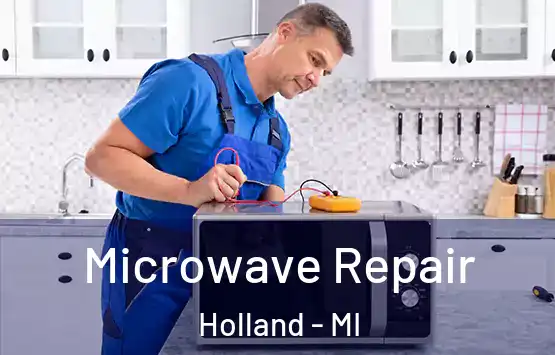  Microwave Repair Holland - MI